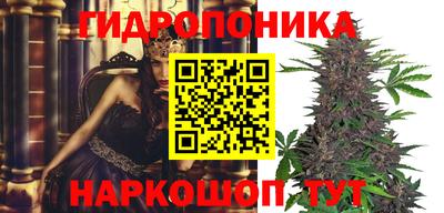 прущий лед Кингисепп