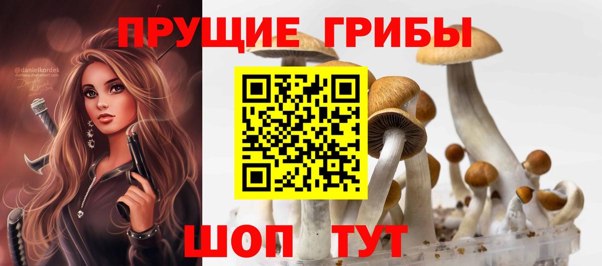 Псилоцибиновые грибы ЛСД  наркошоп  Холмск  Вход с VPN 